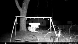 &nbsp;&nbsp;2022.03.13 03.21.02 coon lift.MOV (215 MB)&nbsp;&nbsp;