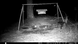 &nbsp;&nbsp;2022.03.16 06.24.40 coon wash.MOV (215 MB)&nbsp;&nbsp;