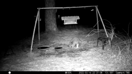 &nbsp;&nbsp;2022.03.16 22.36.58 coons in water.MOV (215 MB)&nbsp;&nbsp;