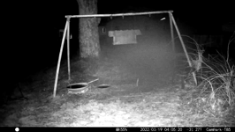 &nbsp;&nbsp;2022.03.19 04.05.10 coons in the rain.MOV (215 MB)&nbsp;&nbsp;