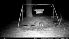 &nbsp;&nbsp;2022.03.29 03.54.56 pressing coons.MOV (215 MB)&nbsp;&nbsp;