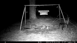 &nbsp;&nbsp;2022.03.29 04.10.48 cordial coons.MOV (215 MB)&nbsp;&nbsp;