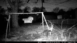 &nbsp;&nbsp;2022.05.01 04.25.54 3 little coons.MOV (215 MB)&nbsp;&nbsp;