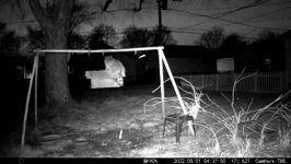 &nbsp;&nbsp;2022.05.01 04.37.40 grumpy coons.MOV (215 MB)&nbsp;&nbsp;