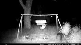 &nbsp;&nbsp;2022.06.03 02.42.32 coon and possum.MOV (214 MB)&nbsp;&nbsp;