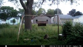 &nbsp;&nbsp;2022.06.12 05.15.04 morning coon.MOV (214 MB)&nbsp;&nbsp;