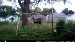 &nbsp;&nbsp;2022.06.12 05.18.26 morning coon.MOV (214 MB)&nbsp;&nbsp;