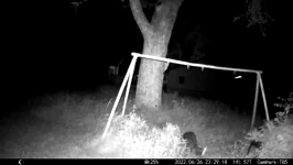 &nbsp;&nbsp;2022.06.26 23.29.08 coon wheres the feeder.MOV (215 MB)&nbsp;&nbsp;