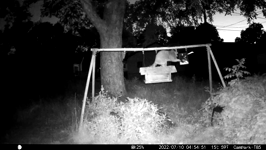 &nbsp;&nbsp;2022.07.10 04.54.42 little coons.hevc.mov (189 MB)&nbsp;&nbsp;