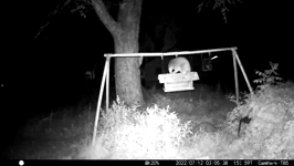 &nbsp;&nbsp;2022.07.12 03.05.28 little coons.hevc.mov (192 MB)&nbsp;&nbsp;