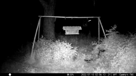 &nbsp;&nbsp;2022.07.15 02.06.04 fast coon.MOV (214 MB)&nbsp;&nbsp;