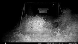 &nbsp;&nbsp;2022.07.23 04.19.44 coon moves bowl.MOV (214 MB)&nbsp;&nbsp;