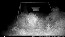 &nbsp;&nbsp;2022.07.23 04.23.18 coons playing.MOV (214 MB)&nbsp;&nbsp;