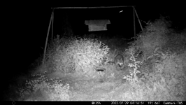 &nbsp;&nbsp;2022.07.29 04.16.40 coon crust and wash up.MOV (214 MB)&nbsp;&nbsp;