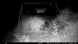 &nbsp;&nbsp;2022.07.31 03.08.30 triple coons.MOV (214 MB)&nbsp;&nbsp;