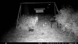 &nbsp;&nbsp;2022.08.04 01.05.42 coon wash.MOV (214 MB)&nbsp;&nbsp;