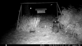 &nbsp;&nbsp;2022.08.06 01.14.24 coon donut hustle.MOV (214 MB)&nbsp;&nbsp;