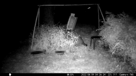 &nbsp;&nbsp;2022.08.09 04.26.14 coon regretting feeder broke.MOV (214 MB)&nbsp;&nbsp;