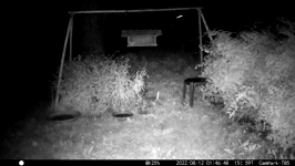 &nbsp;&nbsp;2022.08.12 01.46.38 coon jump jump jump.MOV (214 MB)&nbsp;&nbsp;