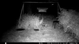 &nbsp;&nbsp;2022.08.15 01.43.04 coon takes donut.MOV (214 MB)&nbsp;&nbsp;