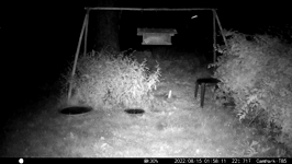 &nbsp;&nbsp;2022.08.15 01.58.02 coon paw wash.MOV (214 MB)&nbsp;&nbsp;