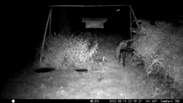 &nbsp;&nbsp;2022.08.15 22.39.16 coon takes pizza crust.MOV (214 MB)&nbsp;&nbsp;