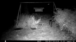 &nbsp;&nbsp;2022.08.17 00.31.50 coon takes pizza crust.MOV (214 MB)&nbsp;&nbsp;