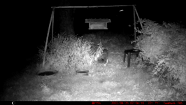 &nbsp;&nbsp;2022.08.25 02.06.00 fat coon does pullups.MOV (214 MB)&nbsp;&nbsp;