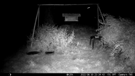 &nbsp;&nbsp;2022.08.30 23.34.34 coon stealing pizza crust.MOV (214 MB)&nbsp;&nbsp;