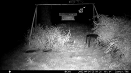 &nbsp;&nbsp;2022.09.04 05.09.10 coon peanuts.MOV (214 MB)&nbsp;&nbsp;