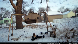 &nbsp;&nbsp;2022.01.05 09.10.12 mutirows.MOV (214 MB)&nbsp;&nbsp;