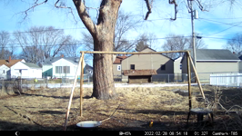 &nbsp;&nbsp;2022.02.28 08.54.08 crow snags suet.MOV (214 MB)&nbsp;&nbsp;
