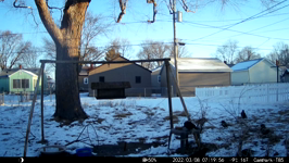 &nbsp;&nbsp;2022.03.08 07.19.46 crow nibbling on roll.MOV (214 MB)&nbsp;&nbsp;