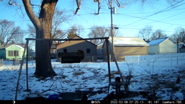 &nbsp;&nbsp;2022.03.08 07.25.04 crow drops roll.MOV (214 MB)&nbsp;&nbsp;