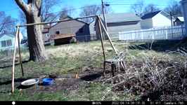 &nbsp;&nbsp;2022.04.14 09.19.26 duck.MOV (214 MB)&nbsp;&nbsp;