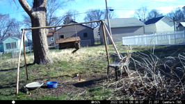 &nbsp;&nbsp;2022.04.16 08.37.58 duck.MOV (214 MB)&nbsp;&nbsp;