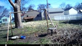 &nbsp;&nbsp;2022.04.16 09.28.46 duck.MOV (214 MB)&nbsp;&nbsp;