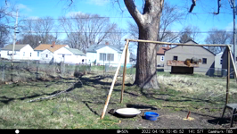 &nbsp;&nbsp;2022.04.16 10.45.42 snoozing duck.MOV (214 MB)&nbsp;&nbsp;