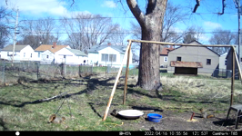 &nbsp;&nbsp;2022.04.16 10.55.46 duck.MOV (214 MB)&nbsp;&nbsp;