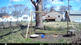 &nbsp;&nbsp;2022.04.16 11.01.00 duck.MOV (214 MB)&nbsp;&nbsp;