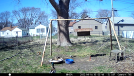 &nbsp;&nbsp;2022.04.16 15.05.38 ducks in bath.MOV (214 MB)&nbsp;&nbsp;