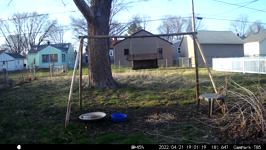 &nbsp;&nbsp;2022.04.21 19.01.10 ducks.MOV (214 MB)&nbsp;&nbsp;