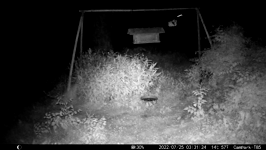 &nbsp;&nbsp;2022.07.25 03.31.14 water bowl swirl.MOV (214 MB)&nbsp;&nbsp;