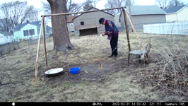 &nbsp;&nbsp;2022.03.21 14.03.32 MML birdfeeding.MOV (214 MB)&nbsp;&nbsp;