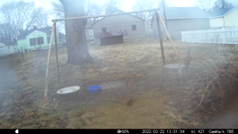 &nbsp;&nbsp;2022.03.22 13.01.44 MML checking out feeder.MOV (214 MB)&nbsp;&nbsp;
