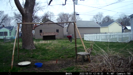 &nbsp;&nbsp;2022.05.01 12.18.24 MML eves.MOV (214 MB)&nbsp;&nbsp;