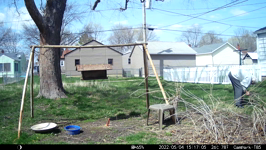 &nbsp;&nbsp;2022.05.04 15.16.56 mml sticks.MOV (214 MB)&nbsp;&nbsp;