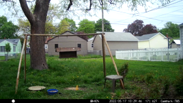 &nbsp;&nbsp;2022.05.17 10.29.36 mml twigs.MOV (214 MB)&nbsp;&nbsp;