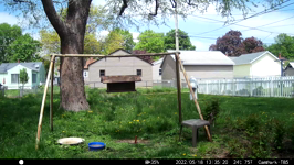 &nbsp;&nbsp;2022.05.18 13.35.10 mml sticks.MOV (214 MB)&nbsp;&nbsp;