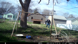 &nbsp;&nbsp;2022.04.24 17.06.52 evicting a small mouse.MOV (214 MB)&nbsp;&nbsp;